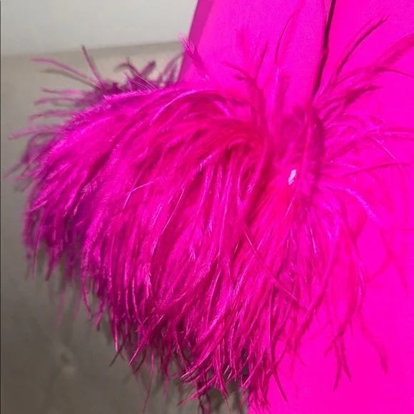 Vibrant Pink Blazer with Feather Cuffs - Picture 4 of 5